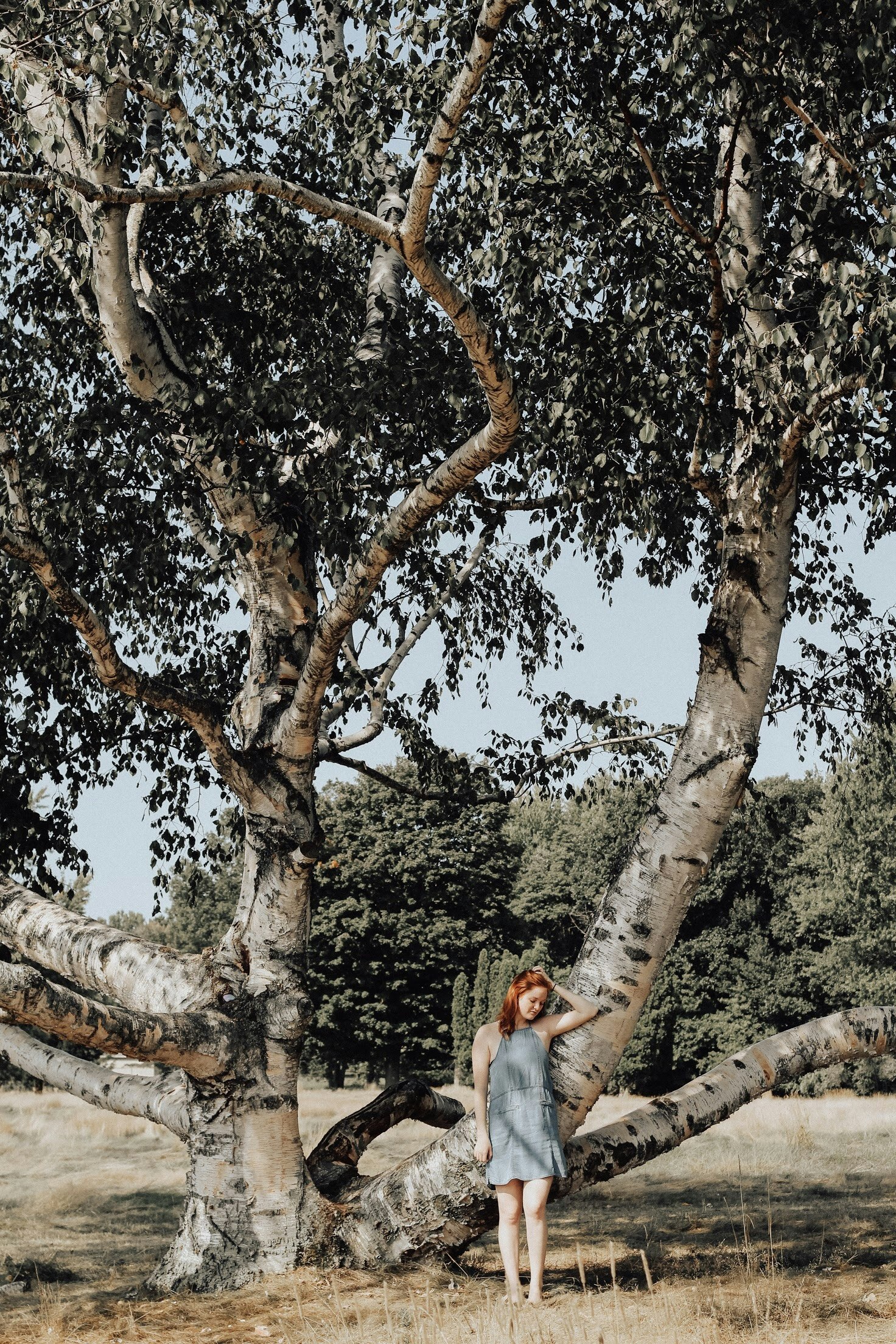 woman standing under tree during daytime